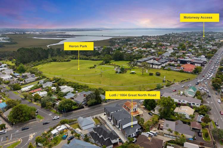 1664F Great North Road Avondale_17