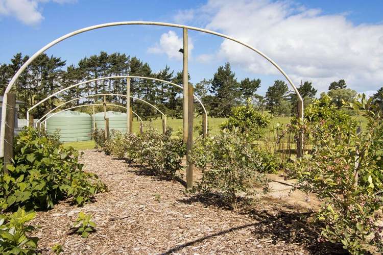 36 Fisher Road Waihi_16