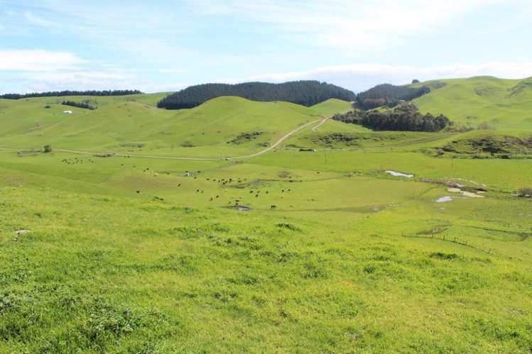 241 Awahuri Road Crownthorpe_10