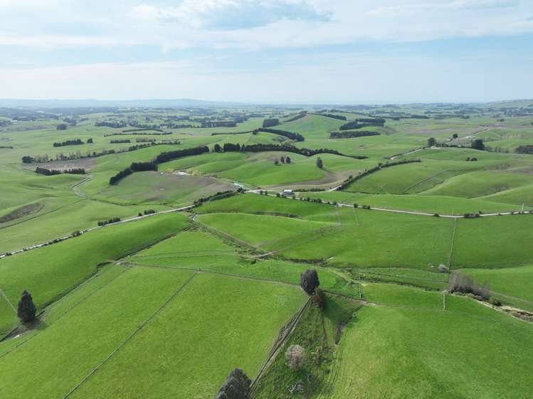 63 Sandford Road Catlins Surrounds_6