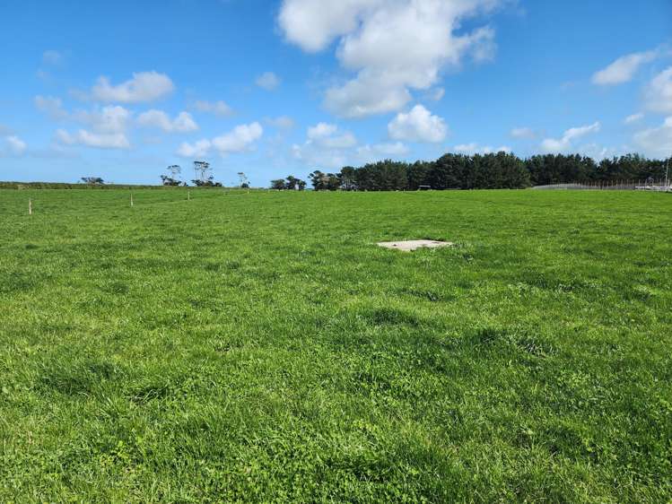 Ahipaipa Road Okaiawa_19