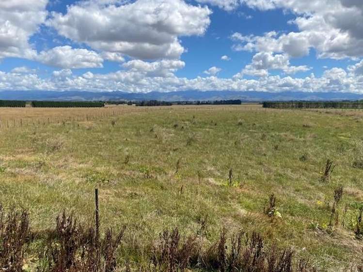 595 East Taratahi Road East Taratahi_2