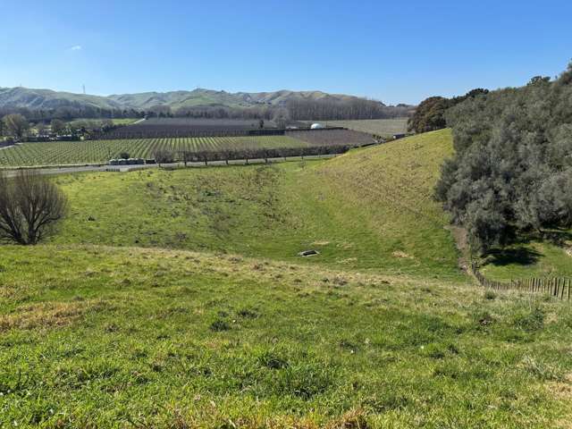 165 Breckenridge Road Puketapu_3