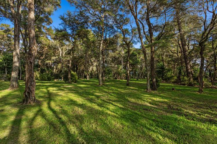 449 Grieve Road Te Teko_15