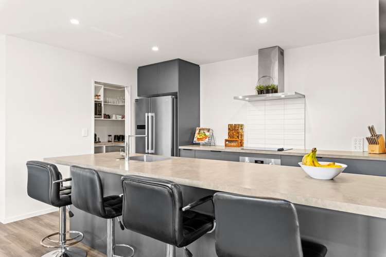 6 Helicon Street_3
