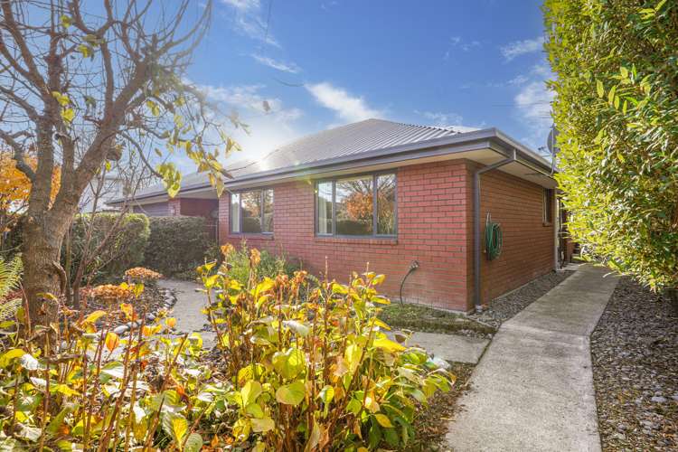 16b Croydon Street Sydenham_15