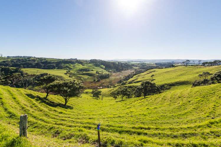 36 Goudie Road Helensville_10