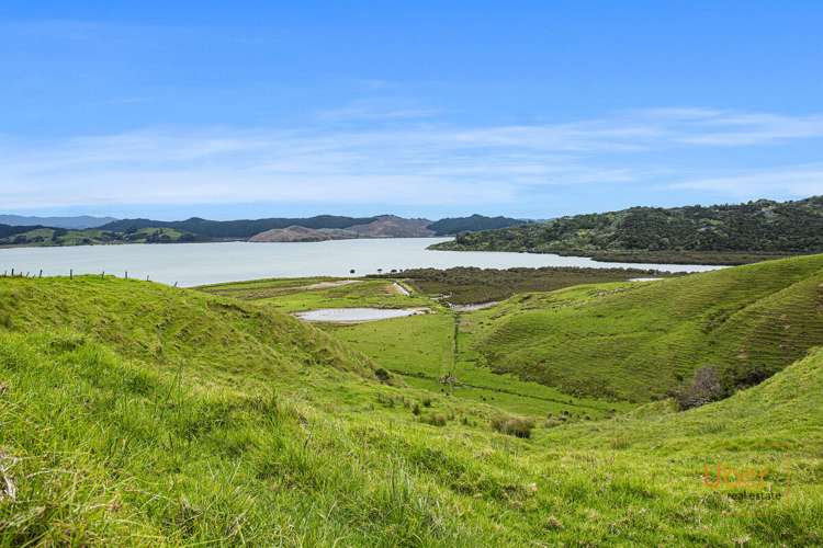 Brindle Road Whirinaki_18