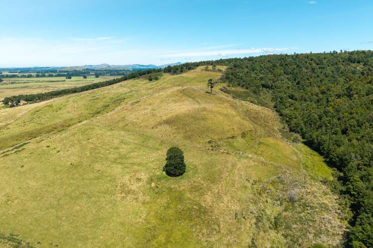 183 Rampaddock Road Oxford_9