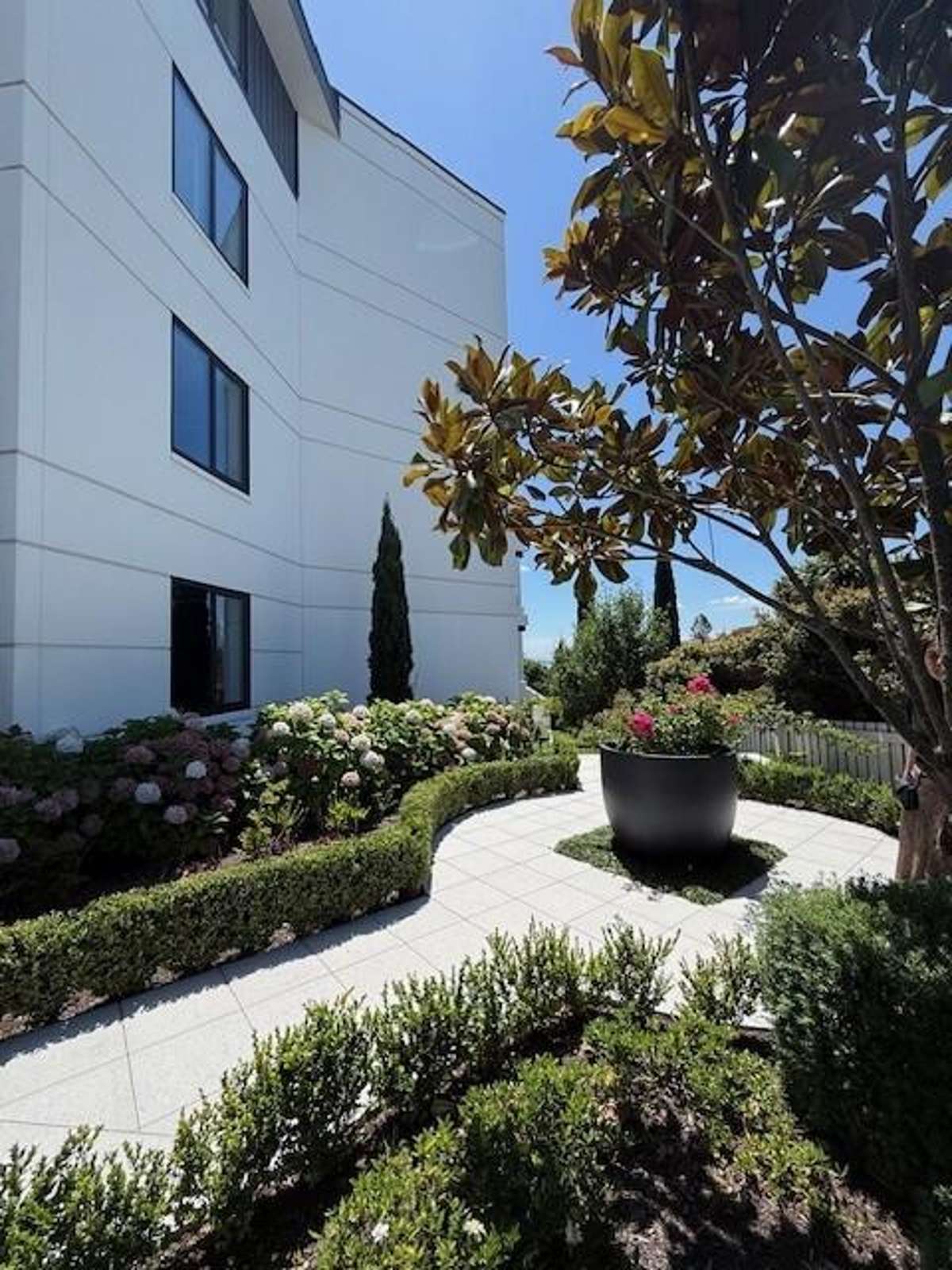 204/308 Remuera Road_3