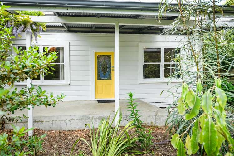 93 Trickers Road Bulls_34