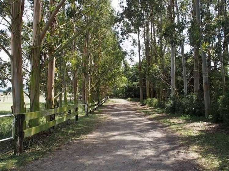 2309 Coaltrack Road Darfield_8