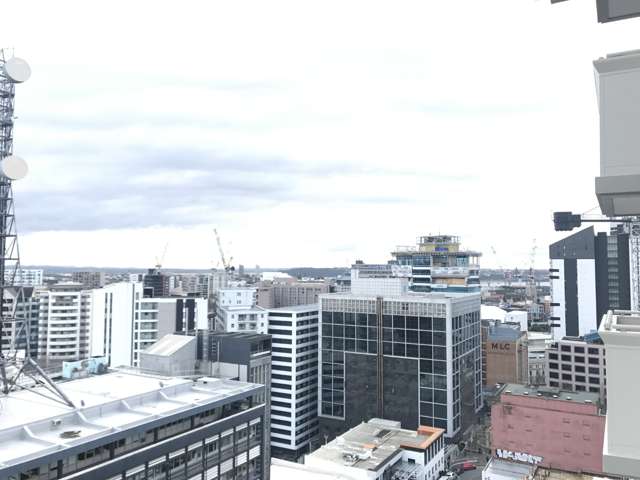 81 Wakefield Street 10015_4