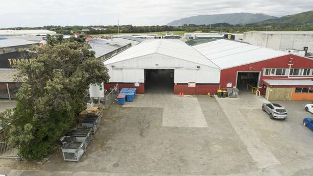9 Sheffield Street Paraparaumu_1
