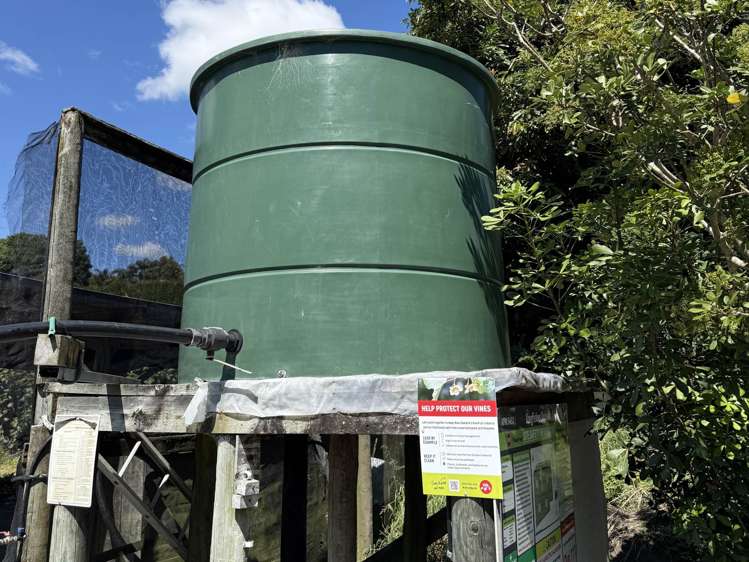 89 Work Road Aongatete_7