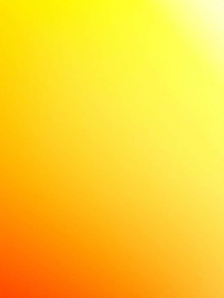 346 Rugby Road Tariki_83