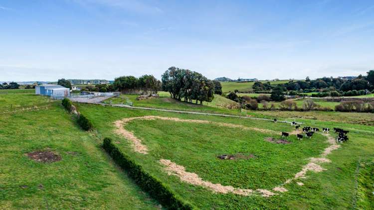 450 Skeet Road Hawera_31