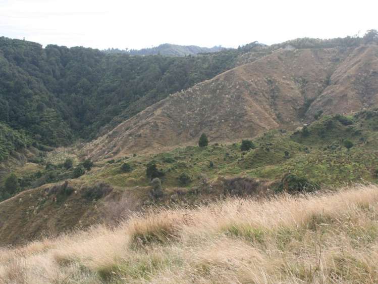 1231 Okahutiria Road Waverley_6