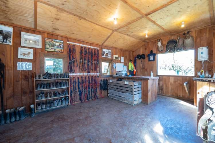 105 Dennistoun Road Mesopotamia_16