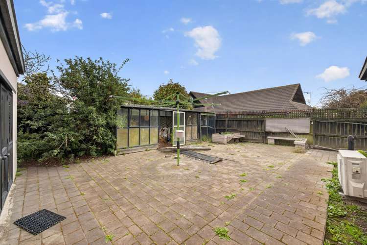 55 Lowry Avenue Redwood_28