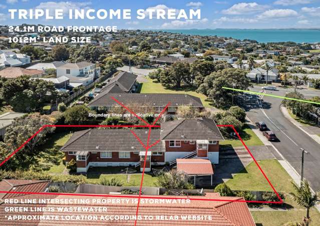 Triple Income on 1,011m² Flat Freehold Section