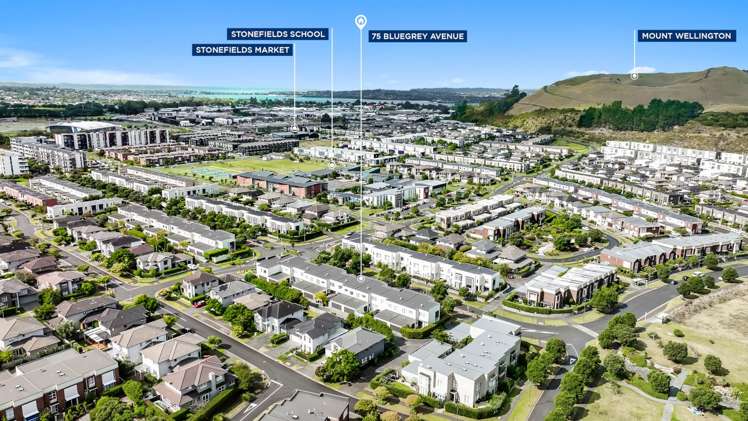 75 Bluegrey Avenue Stonefields_47