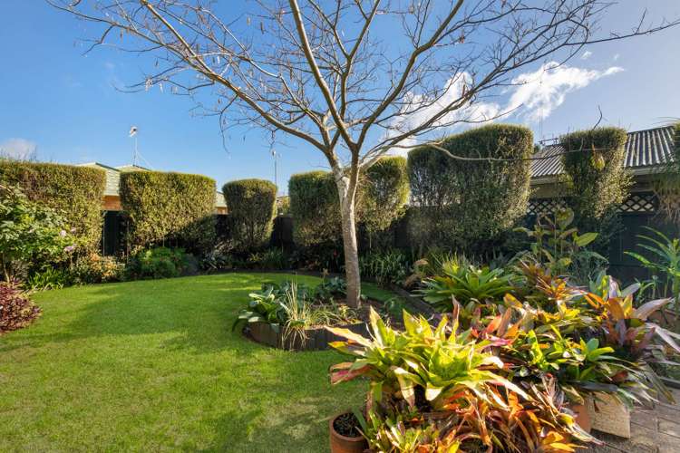 282b Range Road Papamoa_2