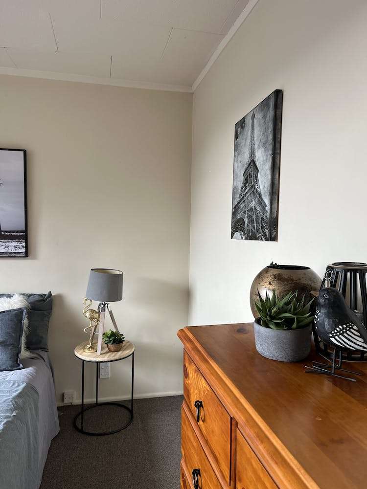 3 Serpentine Avenue Dunedin Central_9