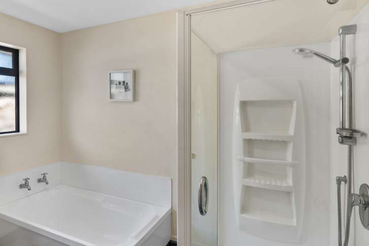 43 Havelock Street Renwick_18