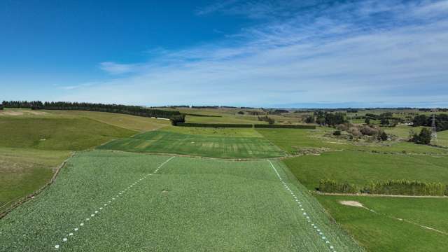Prime Beef Finishing and Dairy Support Property