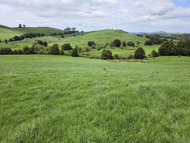 148 Malone Road Kokopu_2