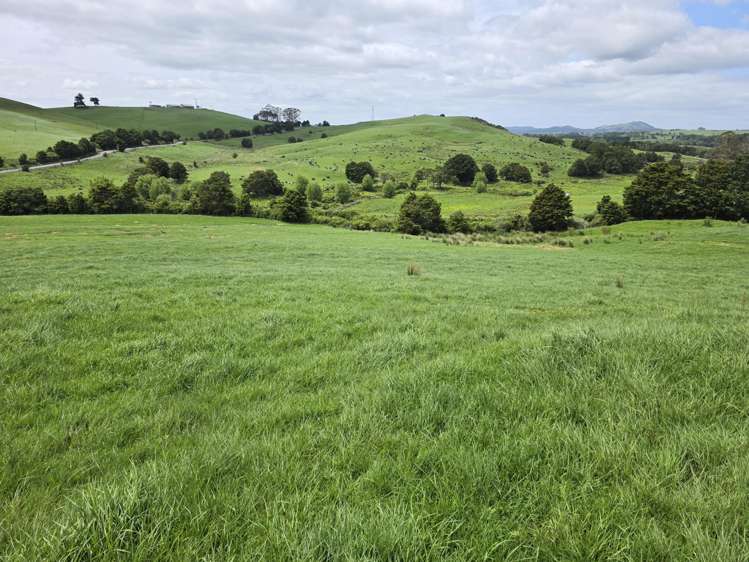 148 Malone Road Kokopu_2