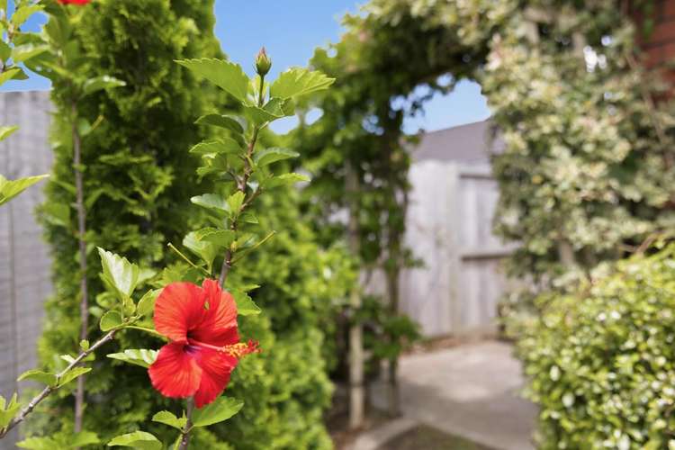 6 Kahawai Close Pyes Pa_10