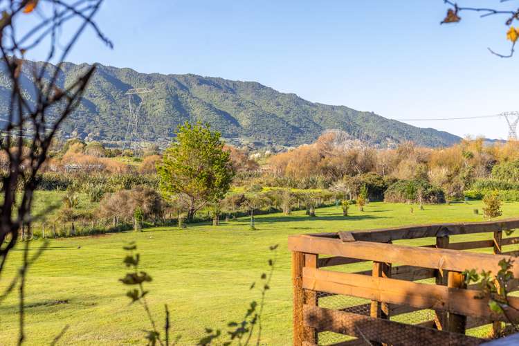 149 Peka Peka Road Peka Peka_13