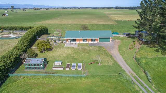 130 Motuiti Road Foxton_1