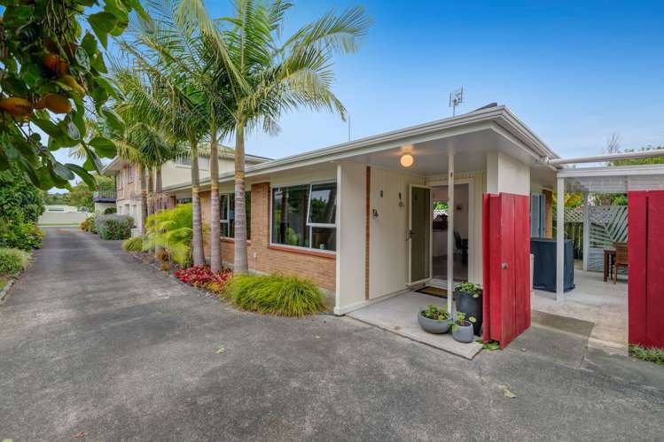 42B Manly Park Avenue Manly_11