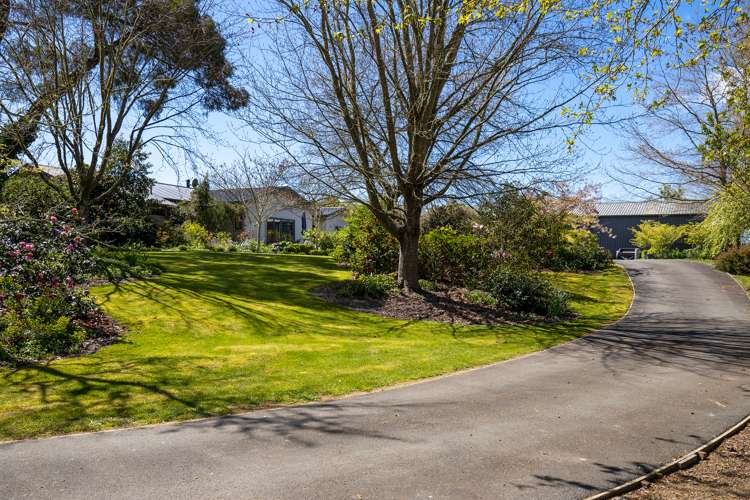 65 Wills Road Upper Moutere_12