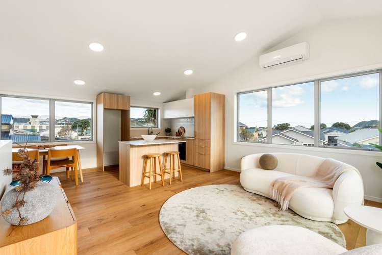 26 Resolution Street (4 x Finished Homes) Lyall Bay_10