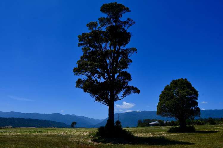 Lot 5 South Terrace Road Karamea_36