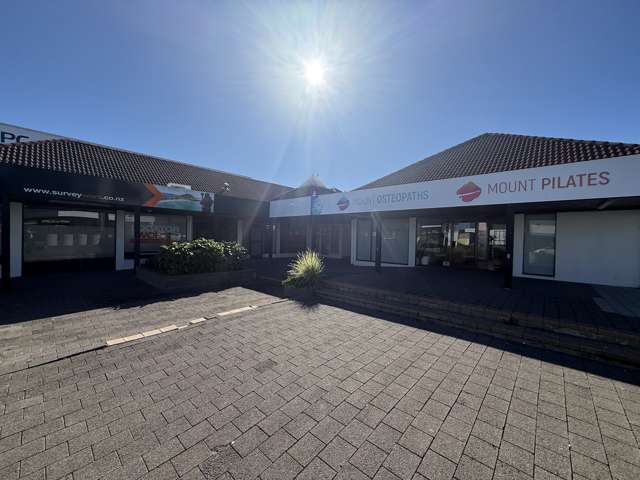 325 Maunganui Road Mount Maunganui_3