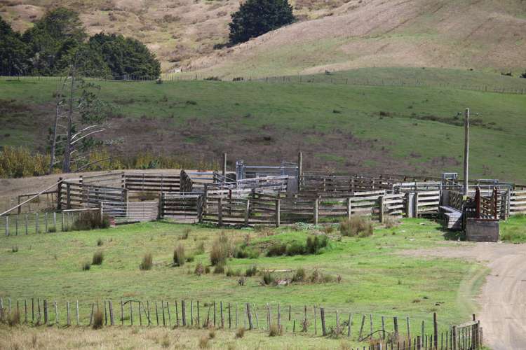 Aponga Road Ruatangata_16