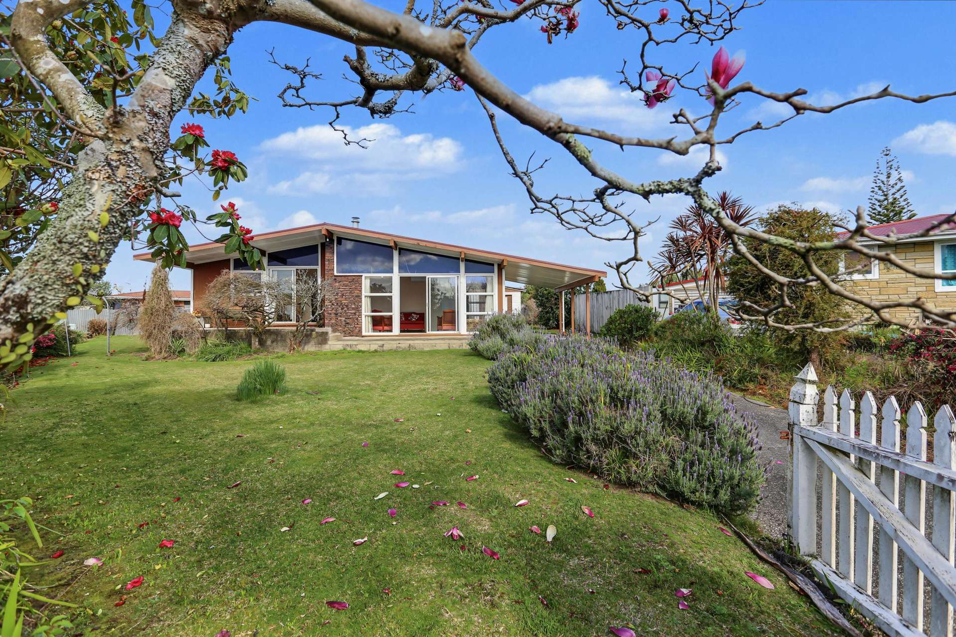 24 Donovan Street Te Puke_0