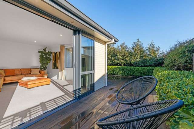 2b Elzy Street Blenheim Central_1