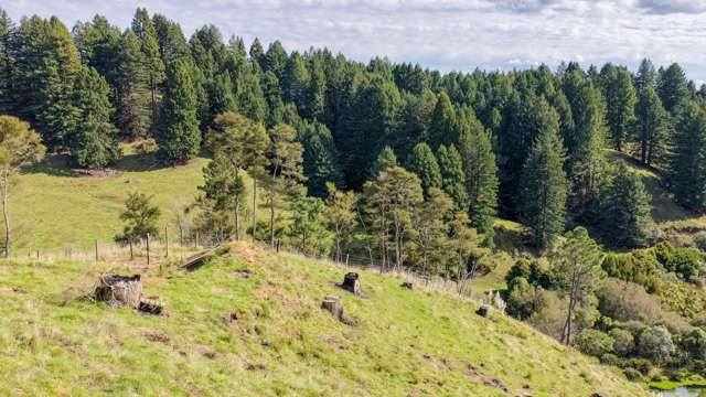 Leslie Road Putaruru_2