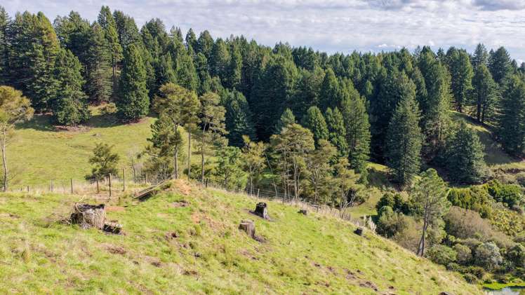 Leslie Road Putaruru_2