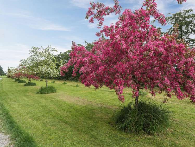 424 North Eyre Road Swannanoa_2