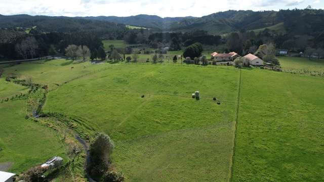 Lot 3 Main Road Kauri_3