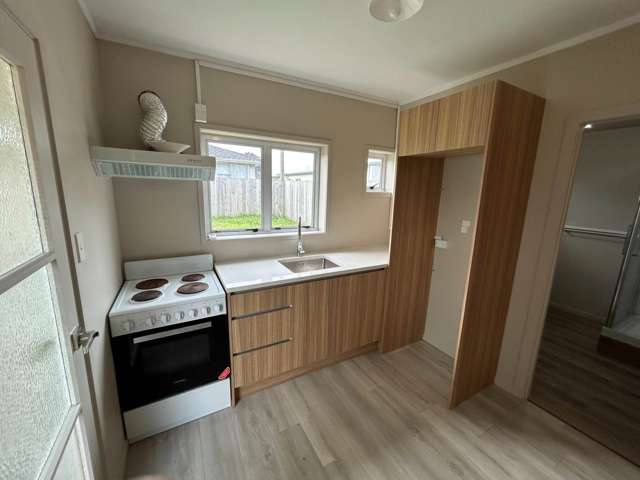 11A Vine Street Mangere East_2