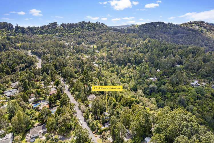 22 Hollywood Avenue Titirangi_22