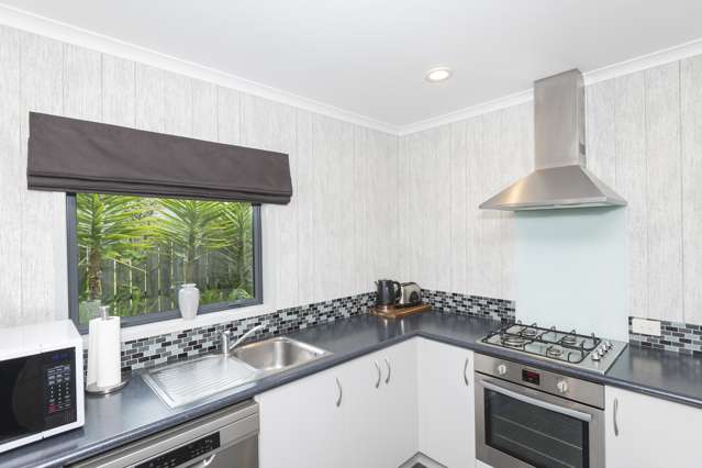 36A Steele Road Tamarau_1